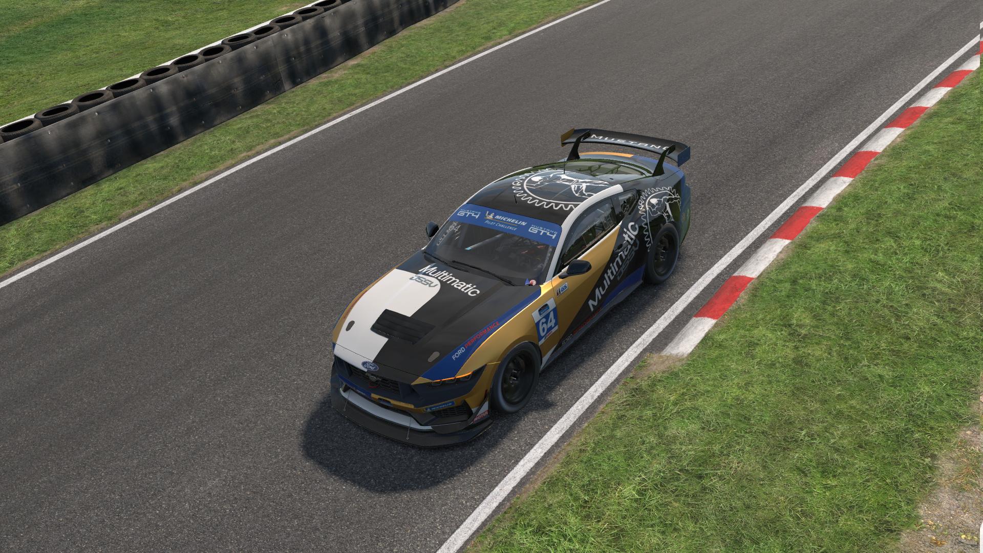 Preview of Multimatic Motorsports Mustang gt4 by Liam Loisel