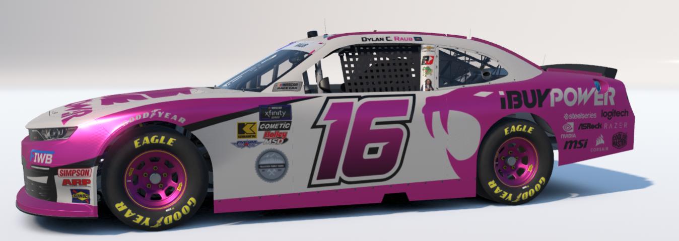 Preview of 16 ibp bca by Dylan C Raub