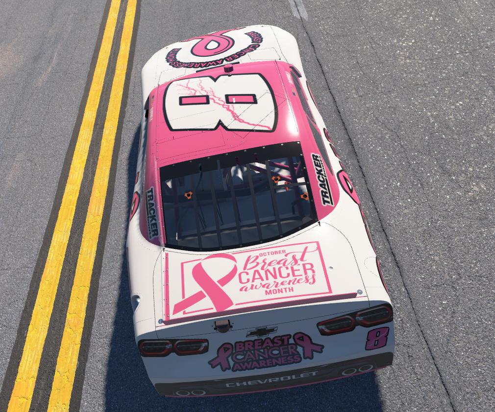 Preview of Xfinity Car Breast Cancer Awr by Andrew Duffield2