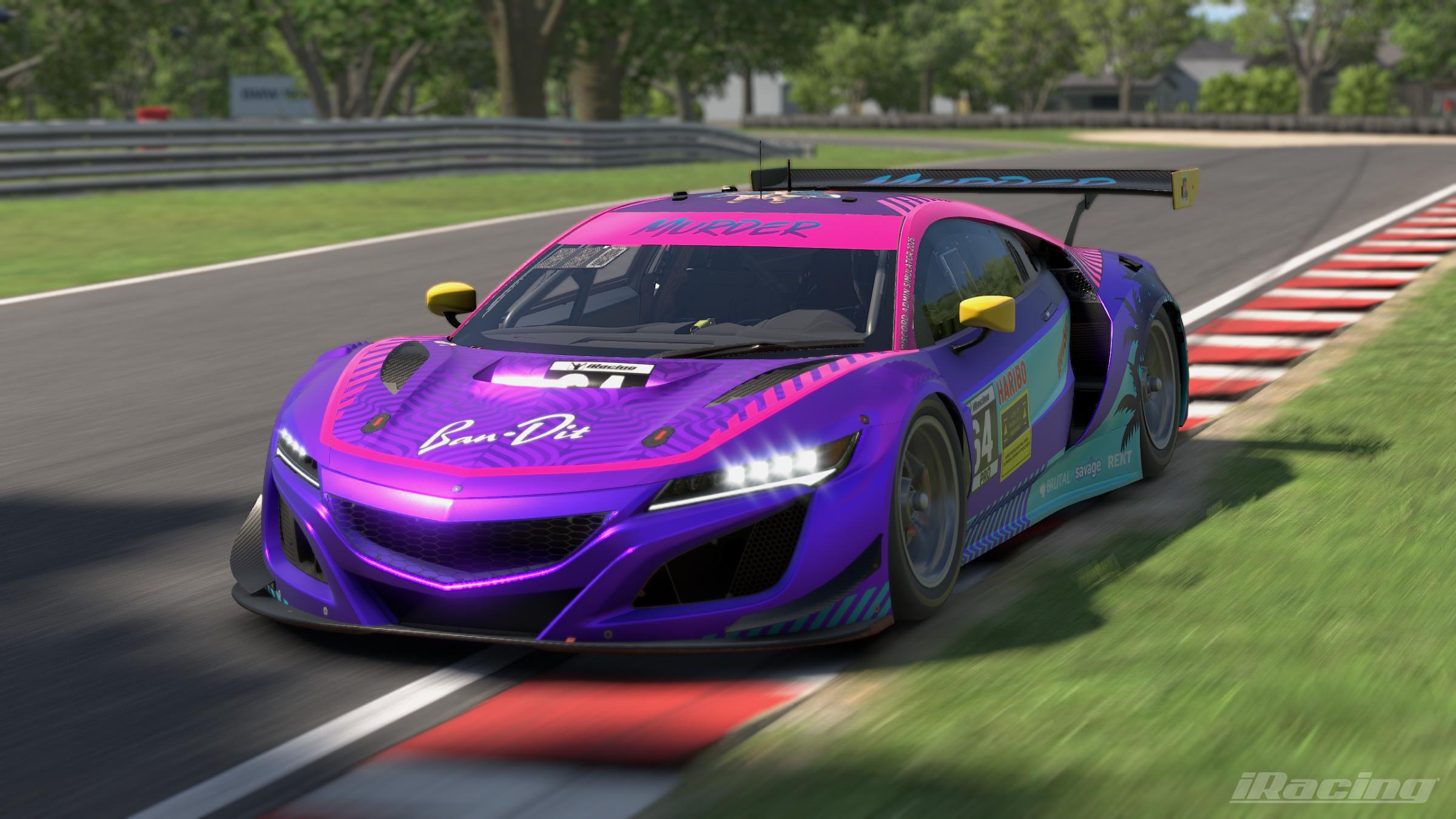 Preview of 2025 M.U.R.D.E.R. Racing official Acura GT3 by Paul R Chaloner