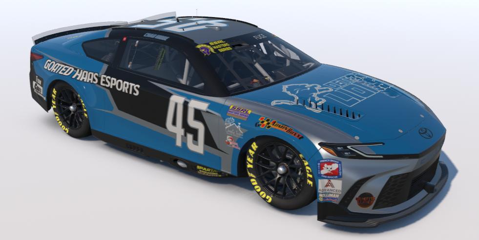 Preview of Kibbe SSRL LIONS 45 by Dave Fuge J.