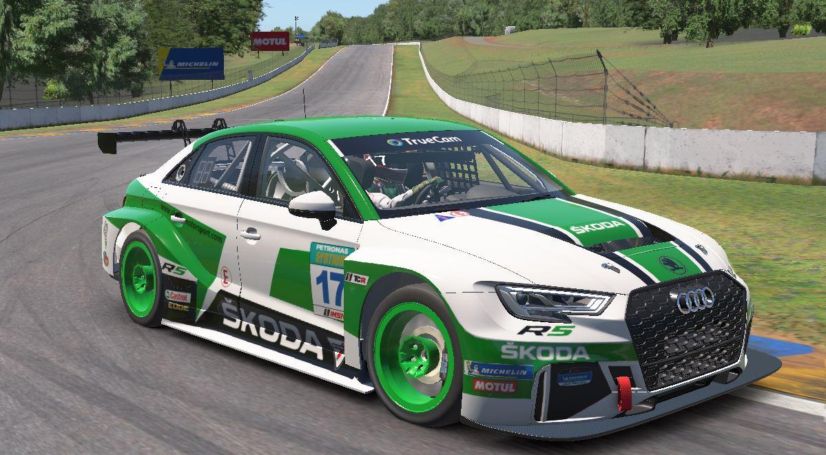 Preview of SKODA  by Bill Shurmatz