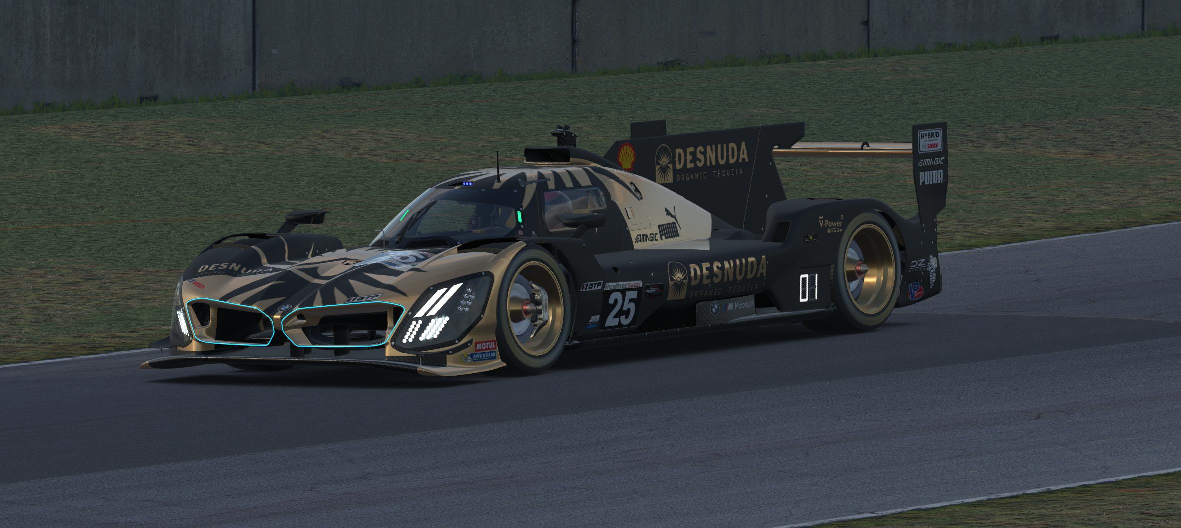 Preview of RLL Racing Desnuda Tequila LMDH Fictional No # by Joseph R Davis