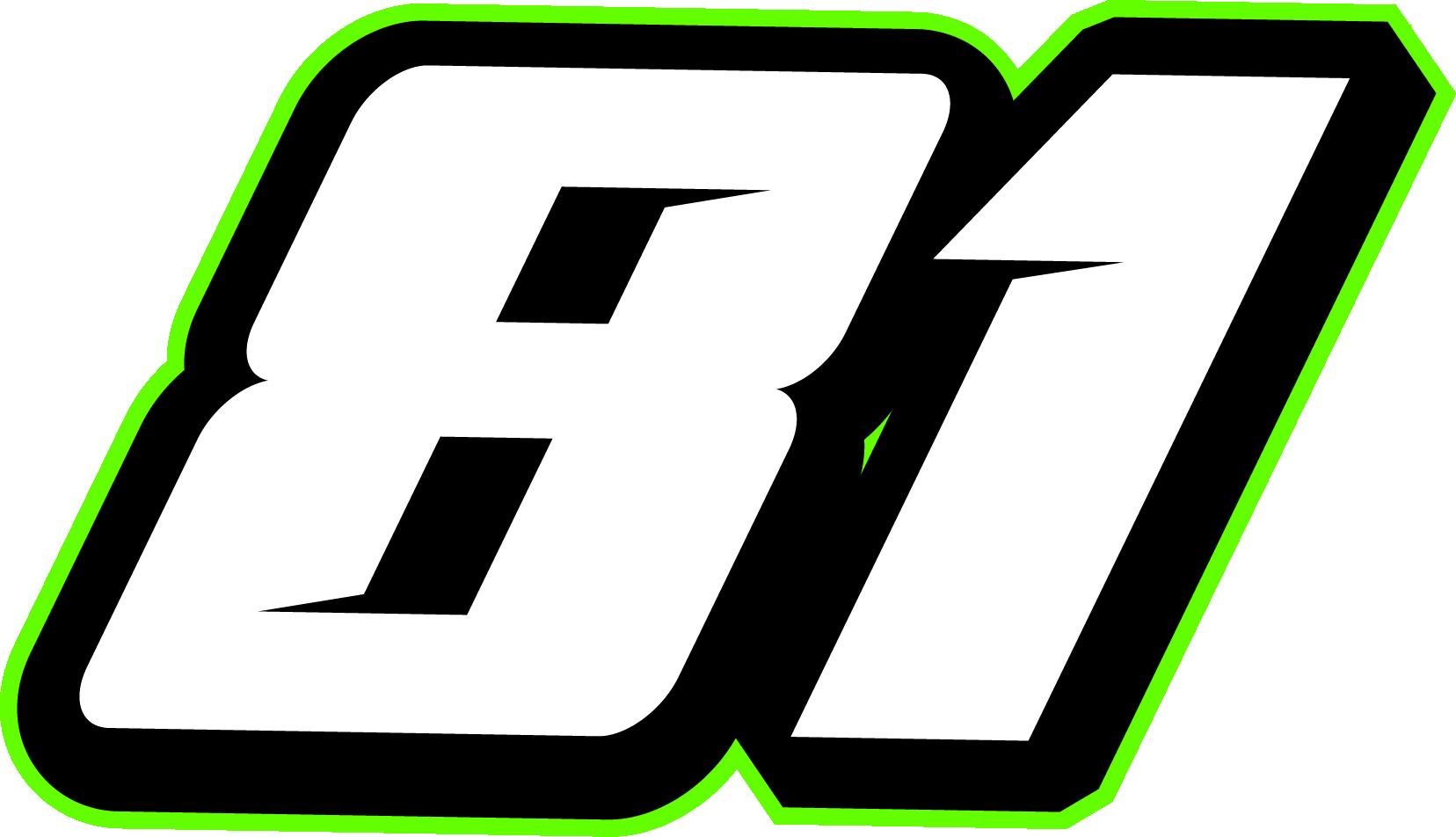 Preview of ss 81 by Mark L.