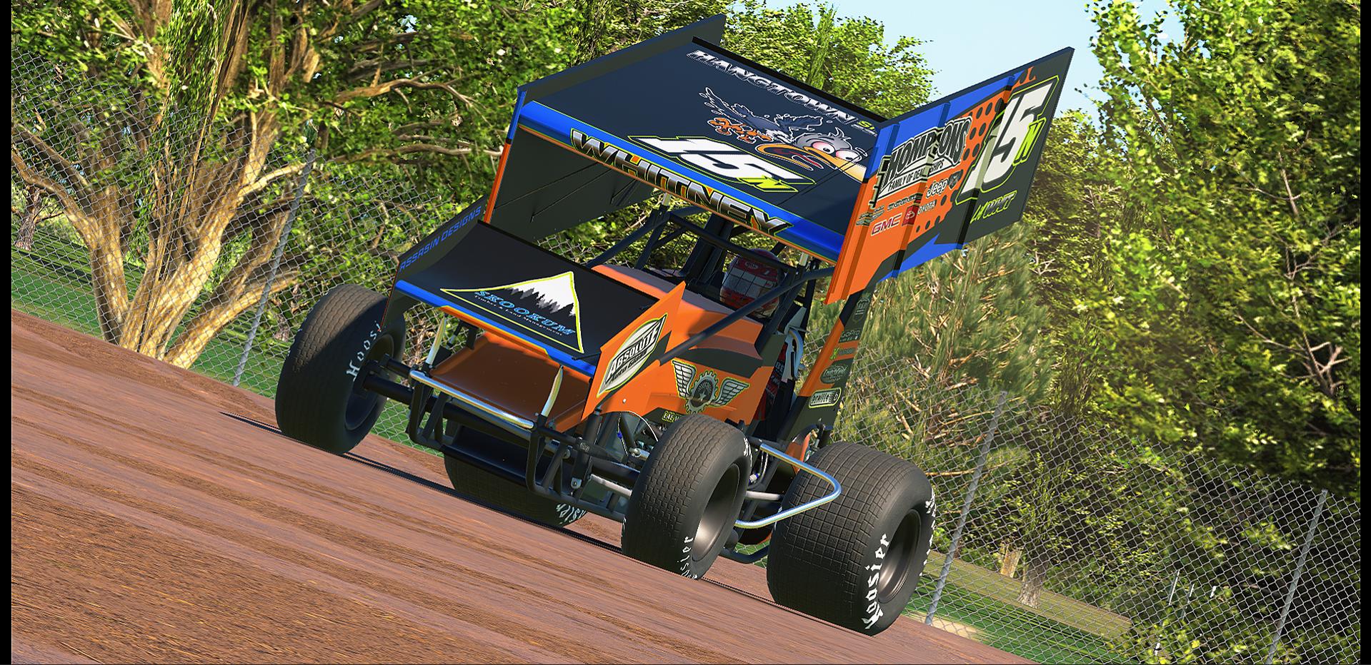 Preview of S Whitney 410 Wing by Austin M.