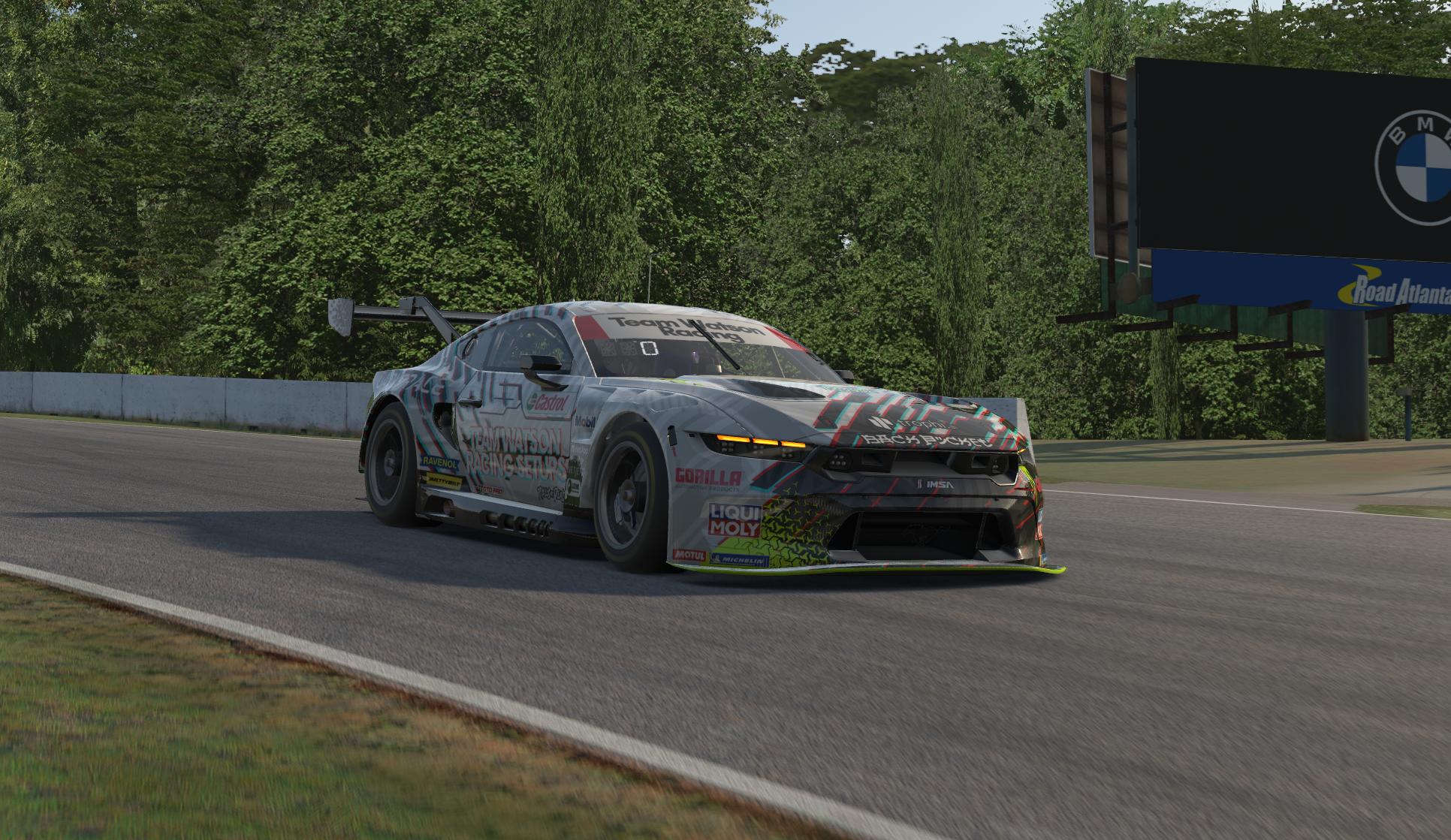 Preview of TWRS Mustang GT3 by Chris L.