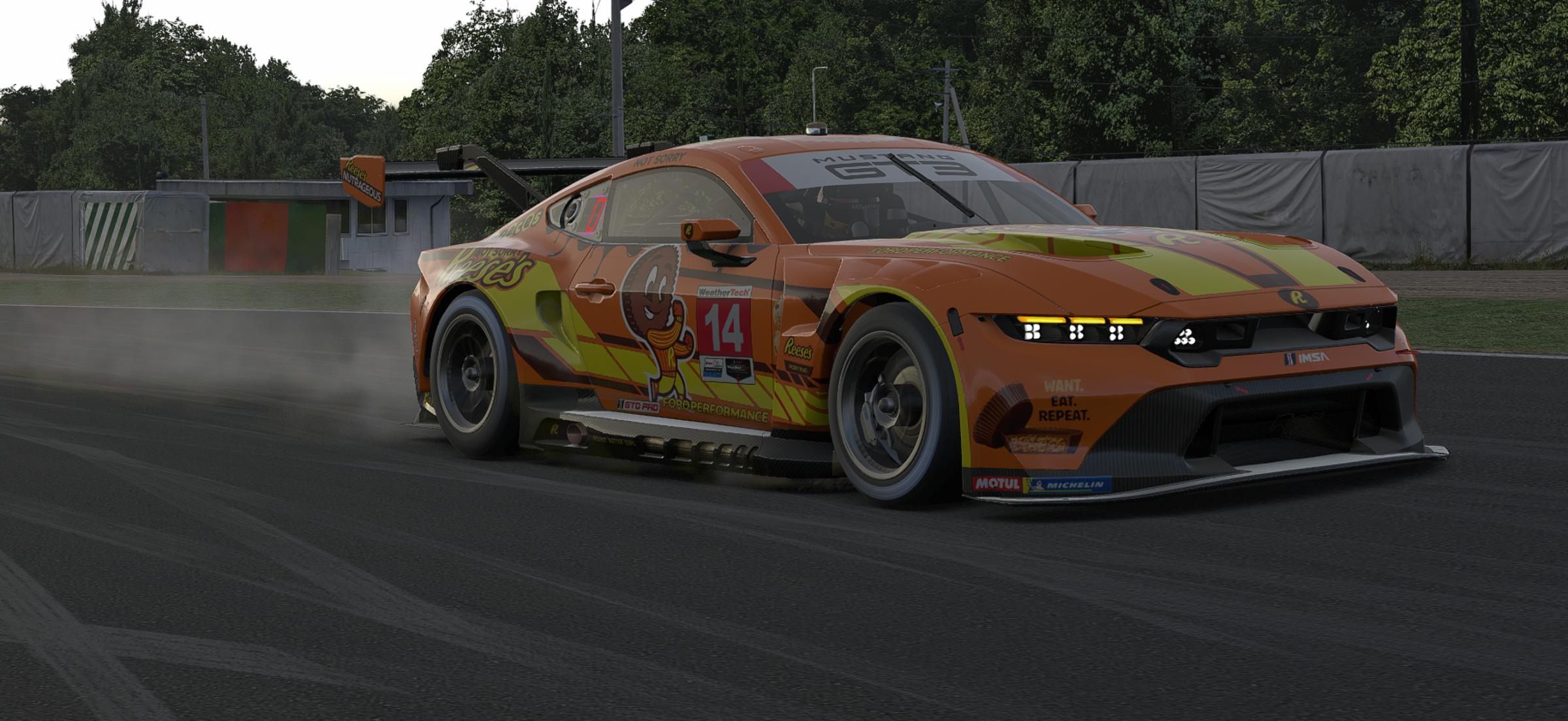 Preview of Reeses Ford Mustang GT3 by Desean S.
