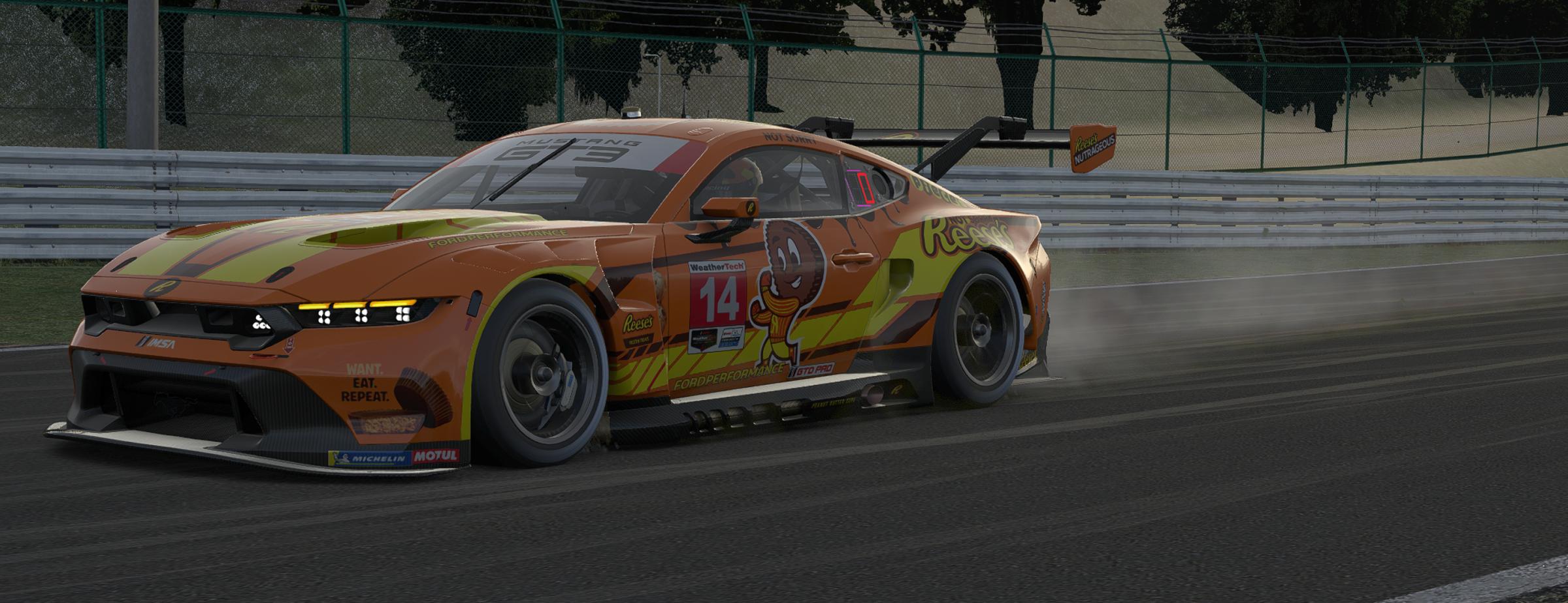 Preview of Reeses Ford Mustang GT3 by Desean S.