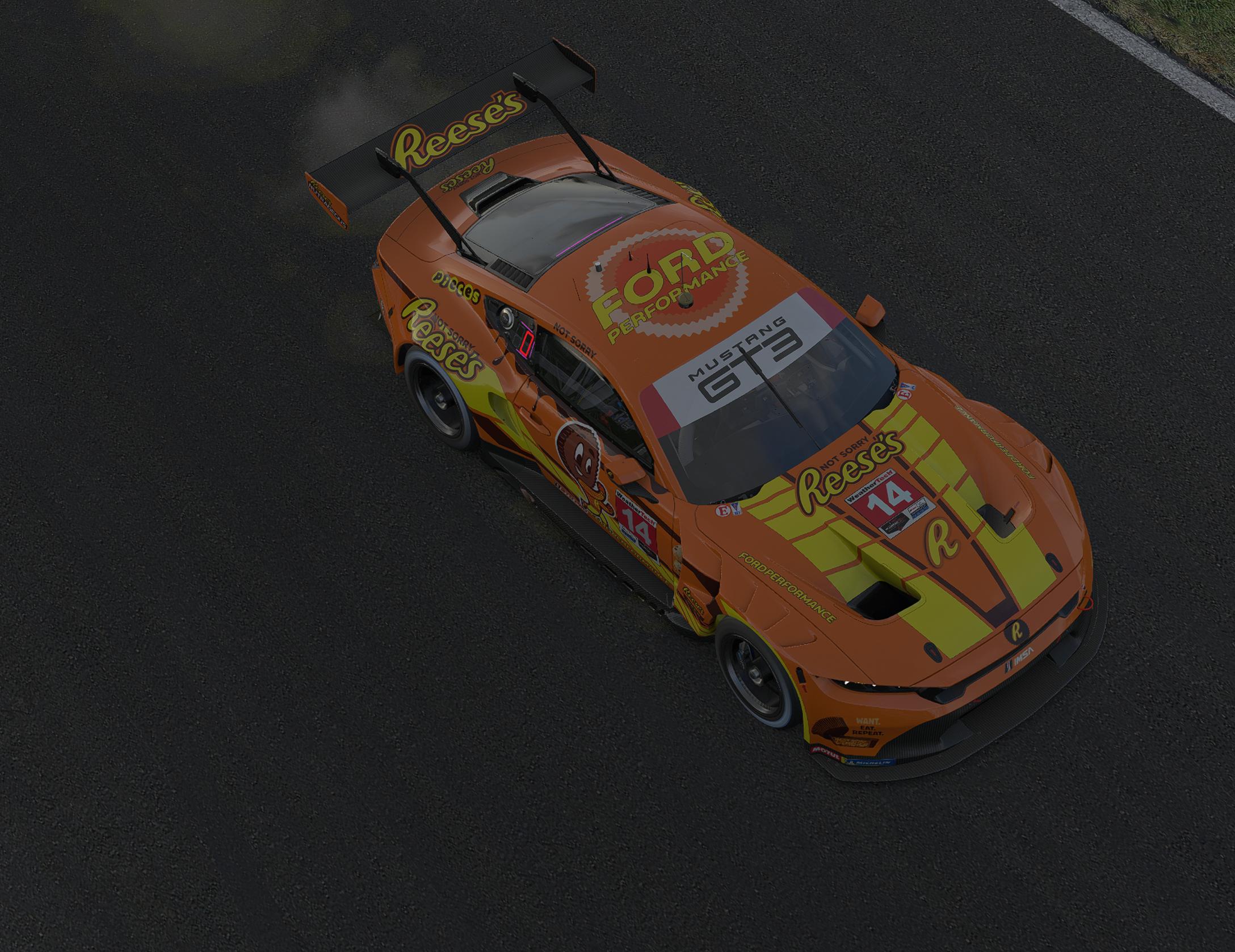 Preview of Reeses Ford Mustang GT3 by Desean S.