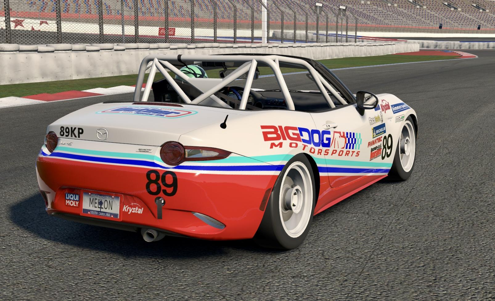 Preview of Big Dog Motorsports by Matt Mullins