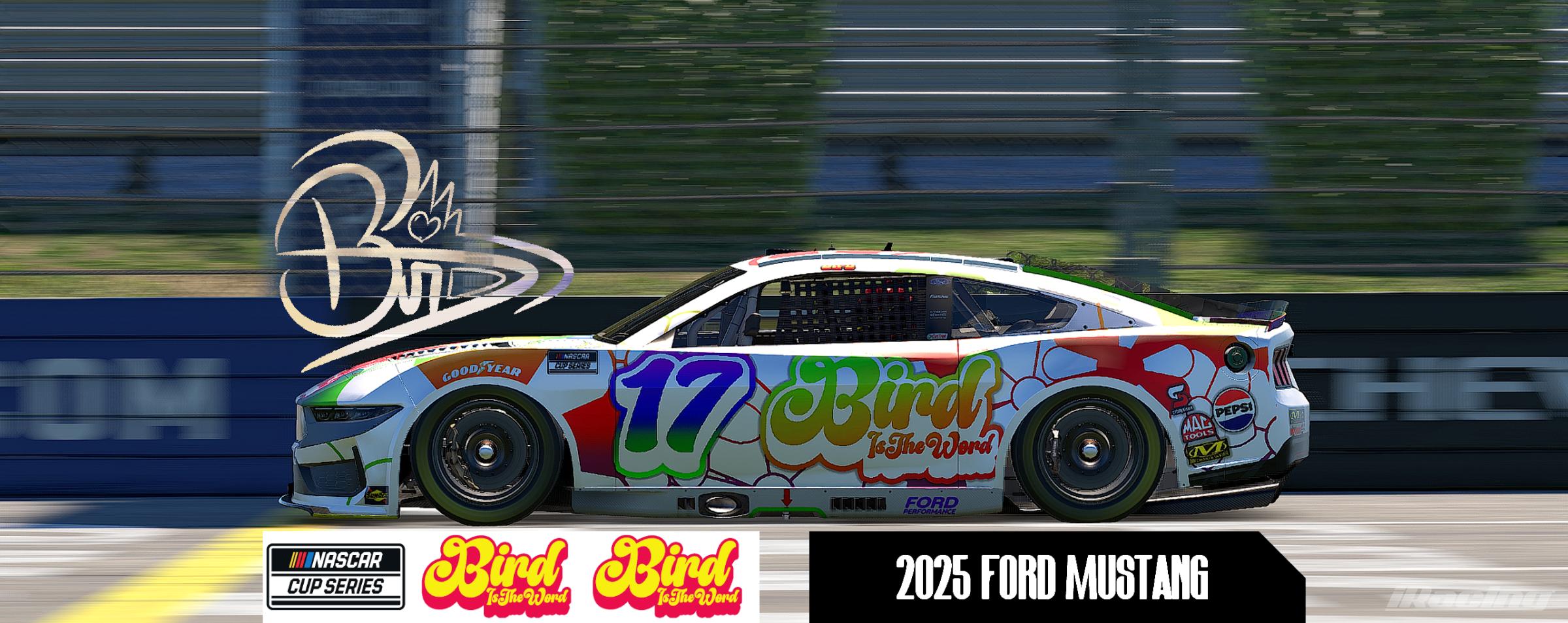 Preview of Bird is the Word Rainbow by Dominic Barbagallo