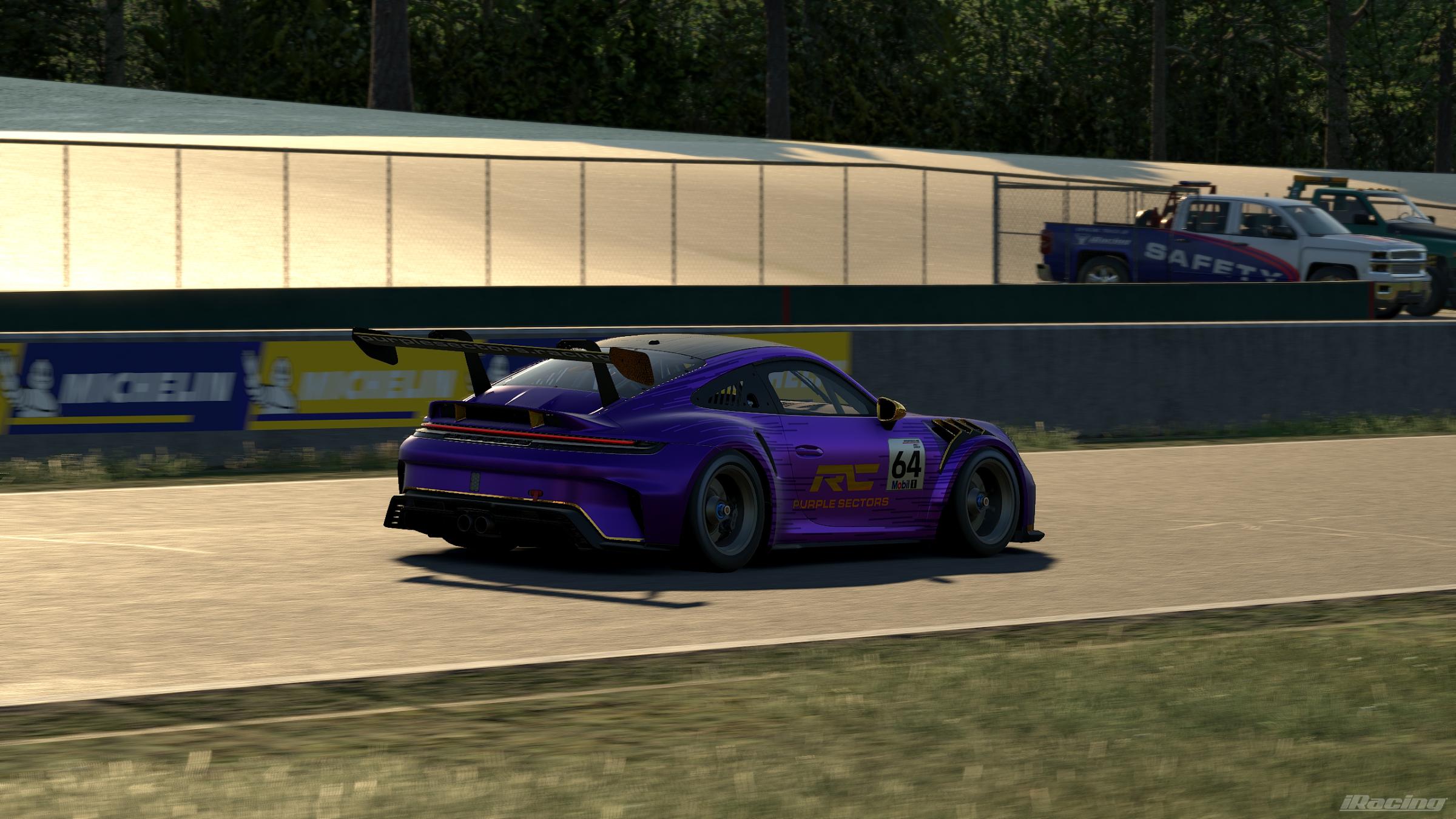 Preview of Purple Sectors by Dakota Knapp