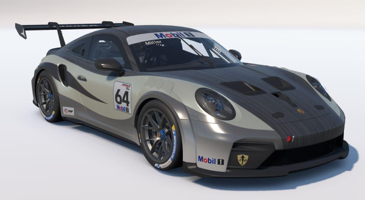 Preview of Pantropical Spotted Dolphin by Zach C Miller