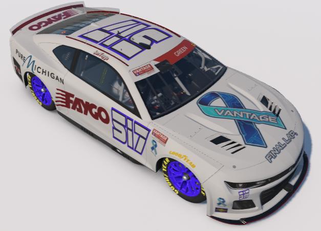 Preview of Vantage Final Lap Paint by Jonathan Green3