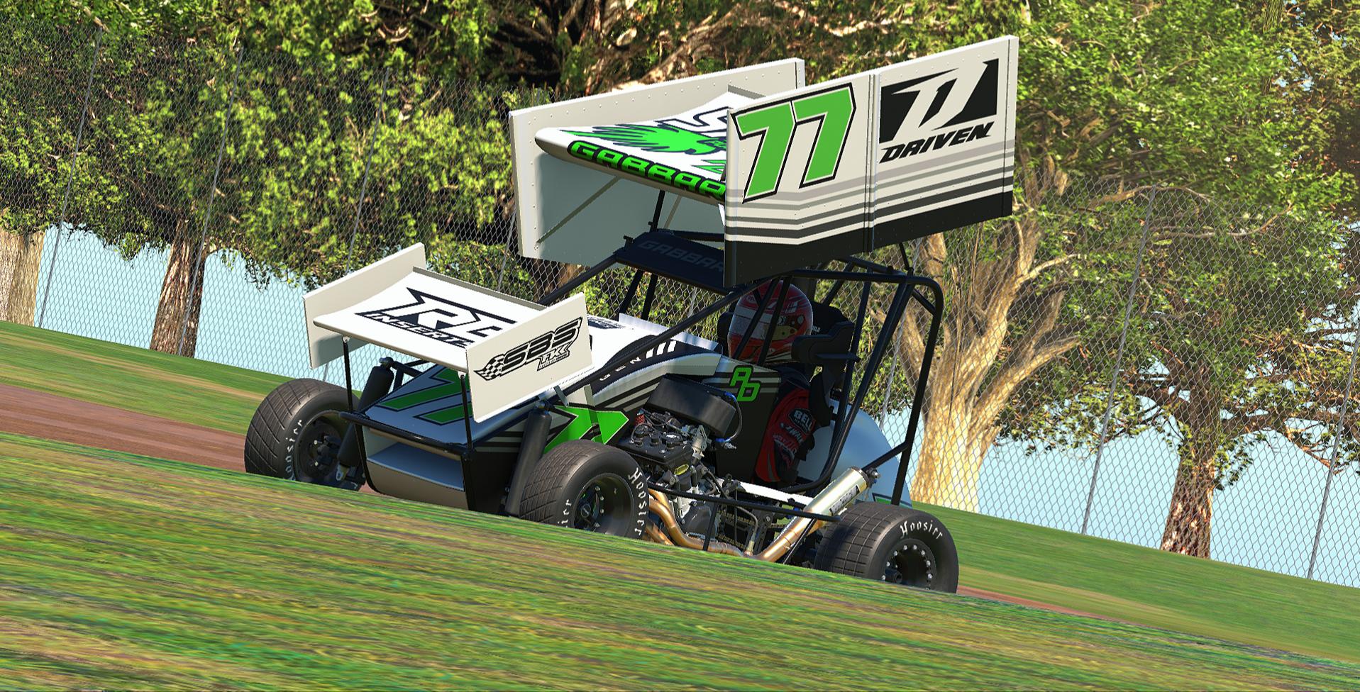 Preview of Gabbard IRL Green 77 SAFARI winged by Austin M.