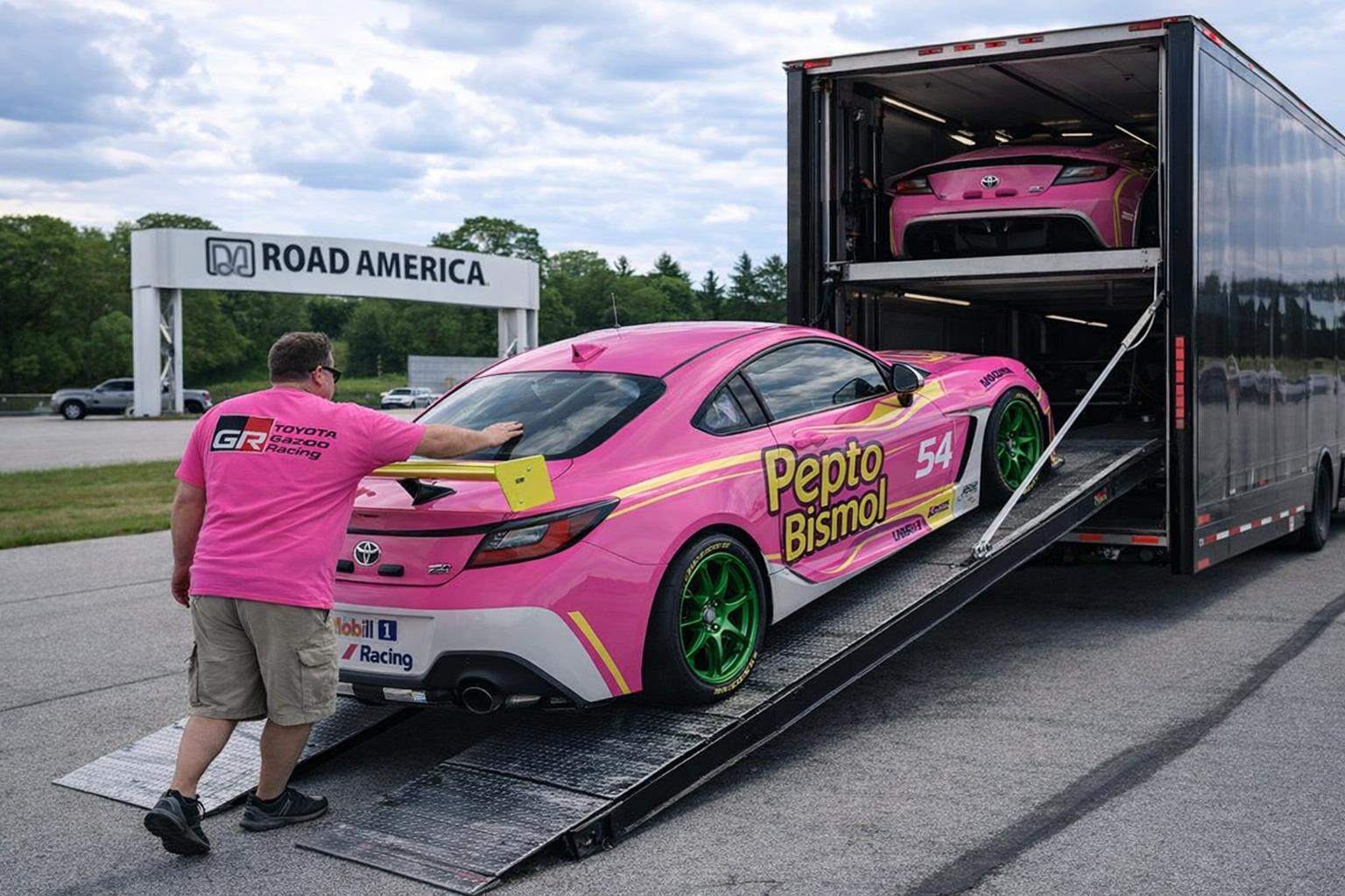 Preview of Pink Pepto Bismol paint by Bill Shurmatz