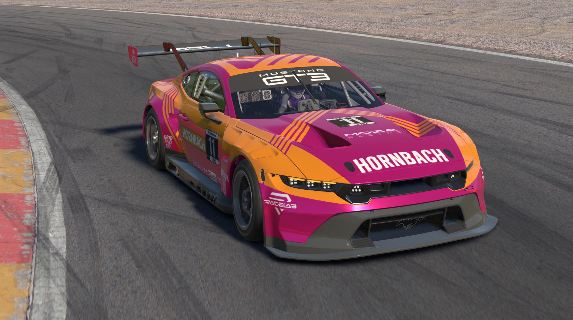 Preview of Ford Mustang GT3 - Hornbach by Dennis Van Der Meeren