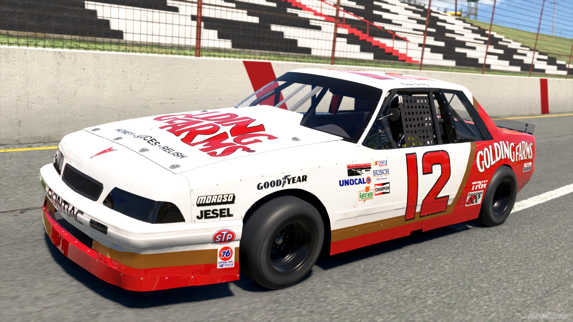 Preview of 1988 #12 Karen Schulz Golding Farms Pontiac Sunbird by Vincent Giacalone