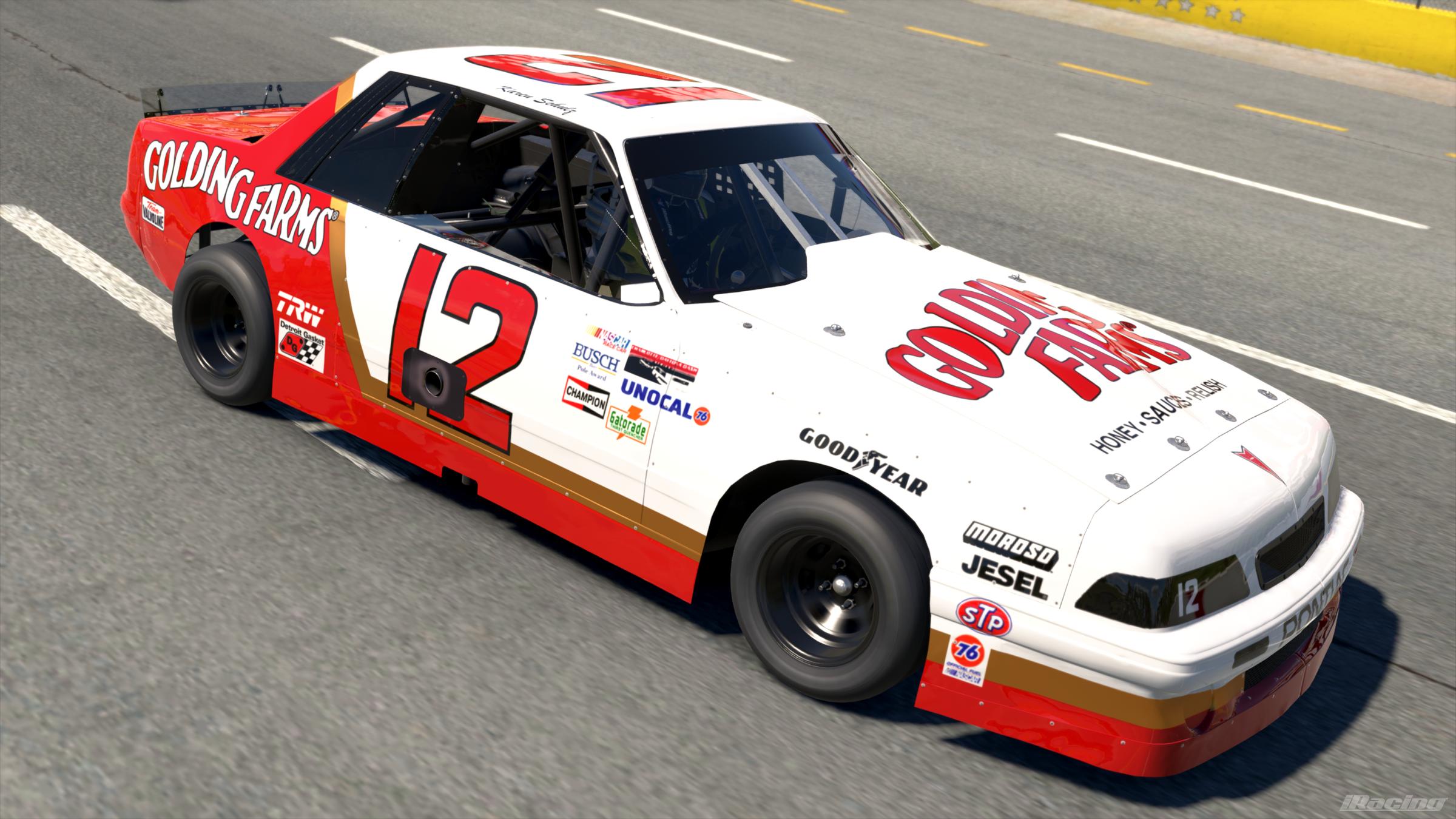 Preview of 1988 #12 Karen Schulz Golding Farms Pontiac Sunbird by Vincent Giacalone