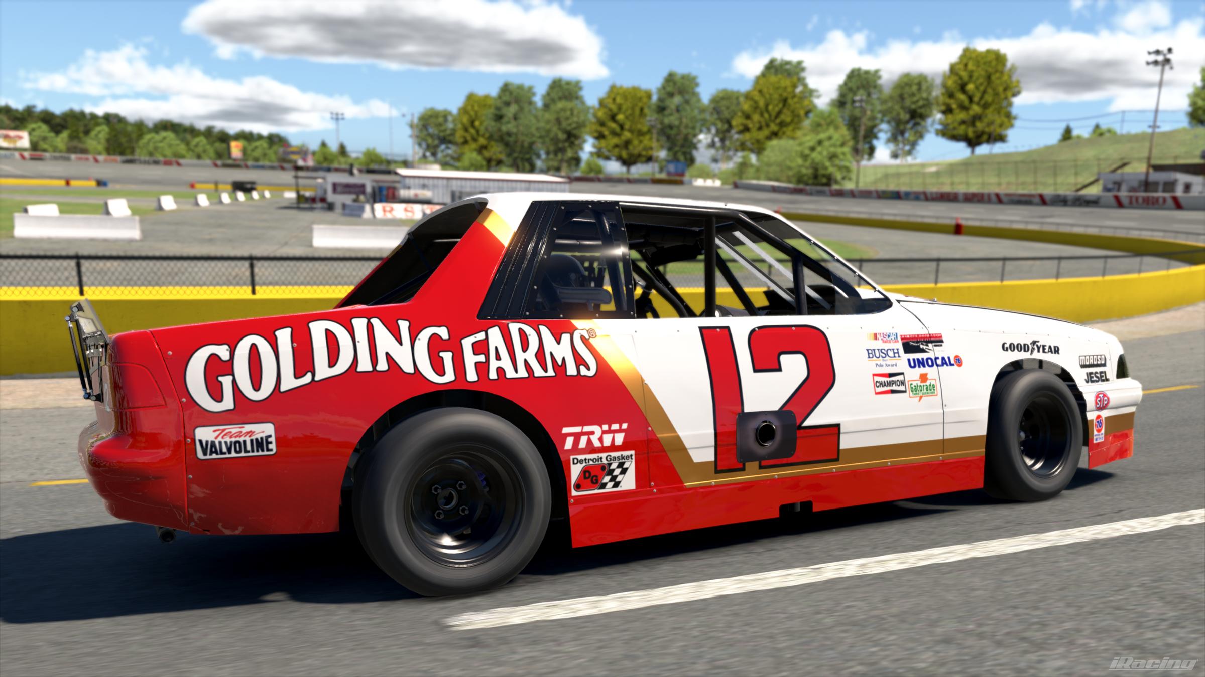 Preview of 1988 #12 Karen Schulz Golding Farms Pontiac Sunbird by Vincent Giacalone