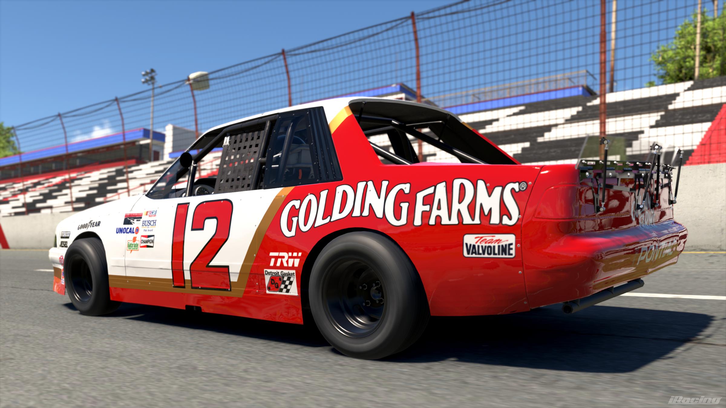 Preview of 1988 #12 Karen Schulz Golding Farms Pontiac Sunbird by Vincent Giacalone