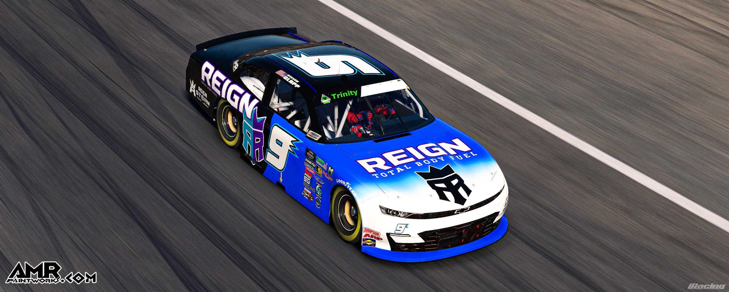 Preview of REIGN by Amr S.