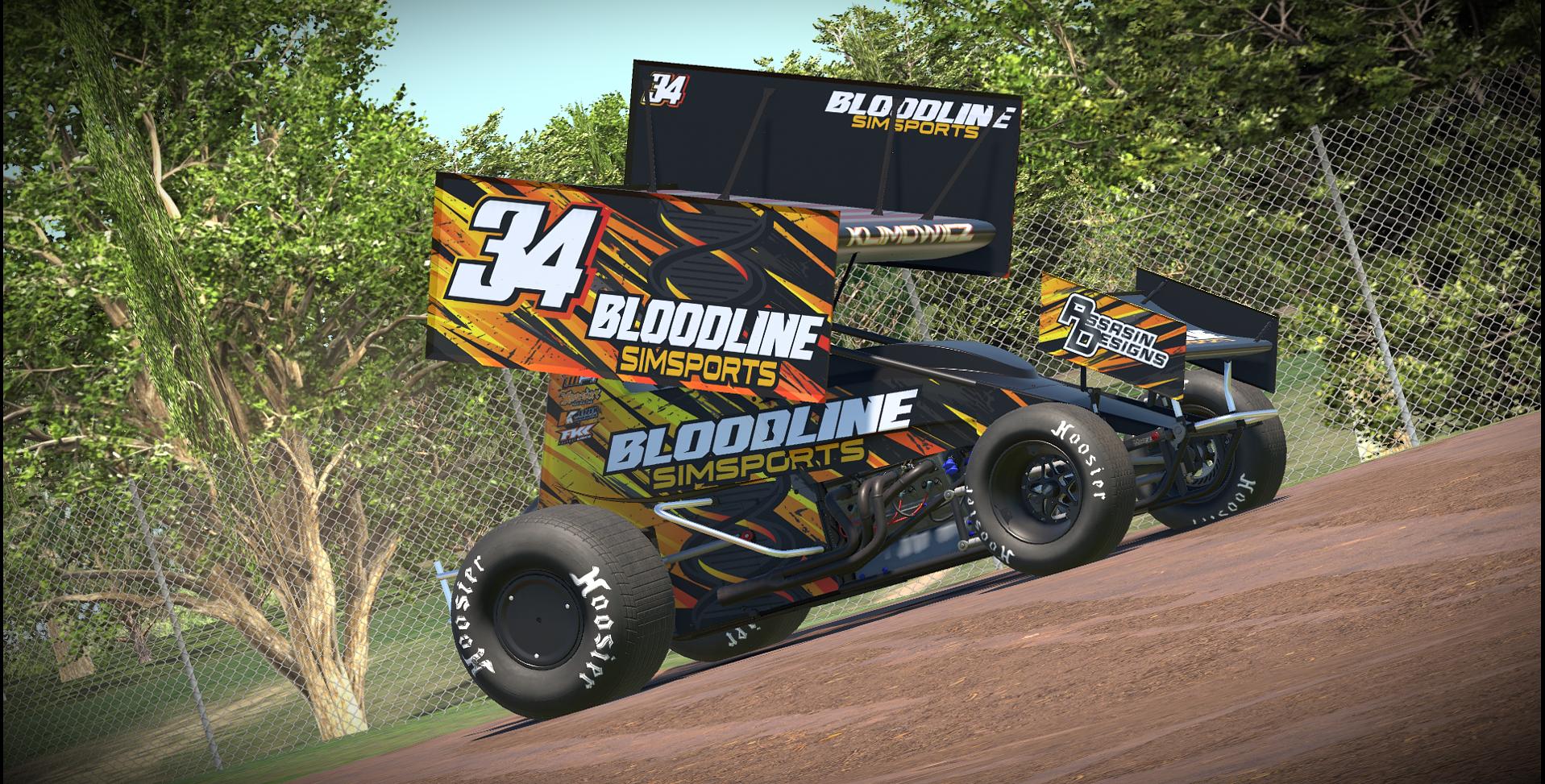 Preview of BloodlineSimSports JK34 by Austin M.