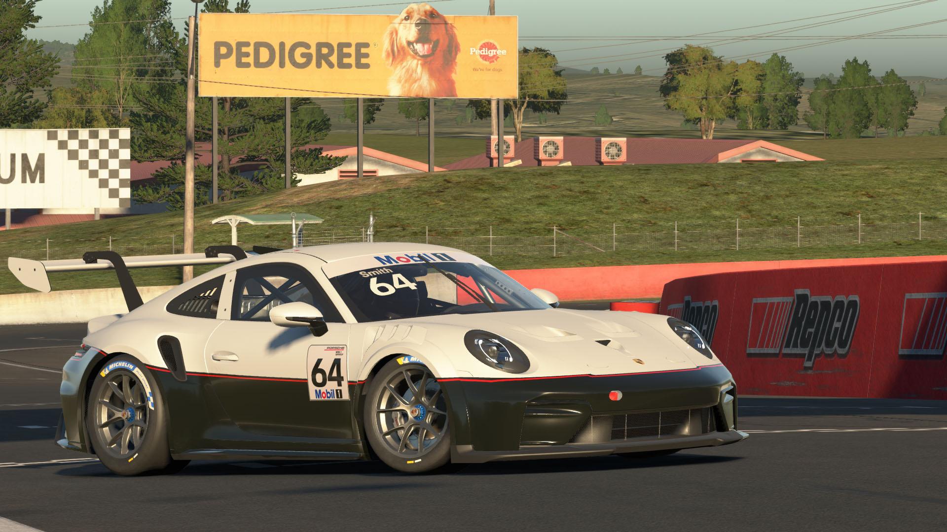 Preview of BLACK AND WHITE by Christopher N S.