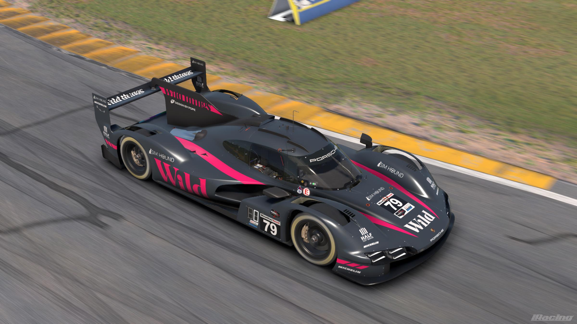 Preview of 2026 Wild things Racing Porsche GTP by Denise Pope