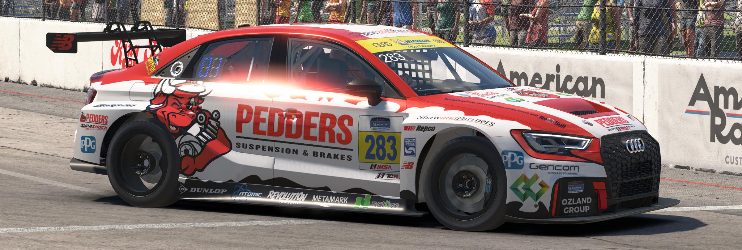 Preview of Pedders Suspension & Brakes Audi RS 3 LMS TCR by Warren M.