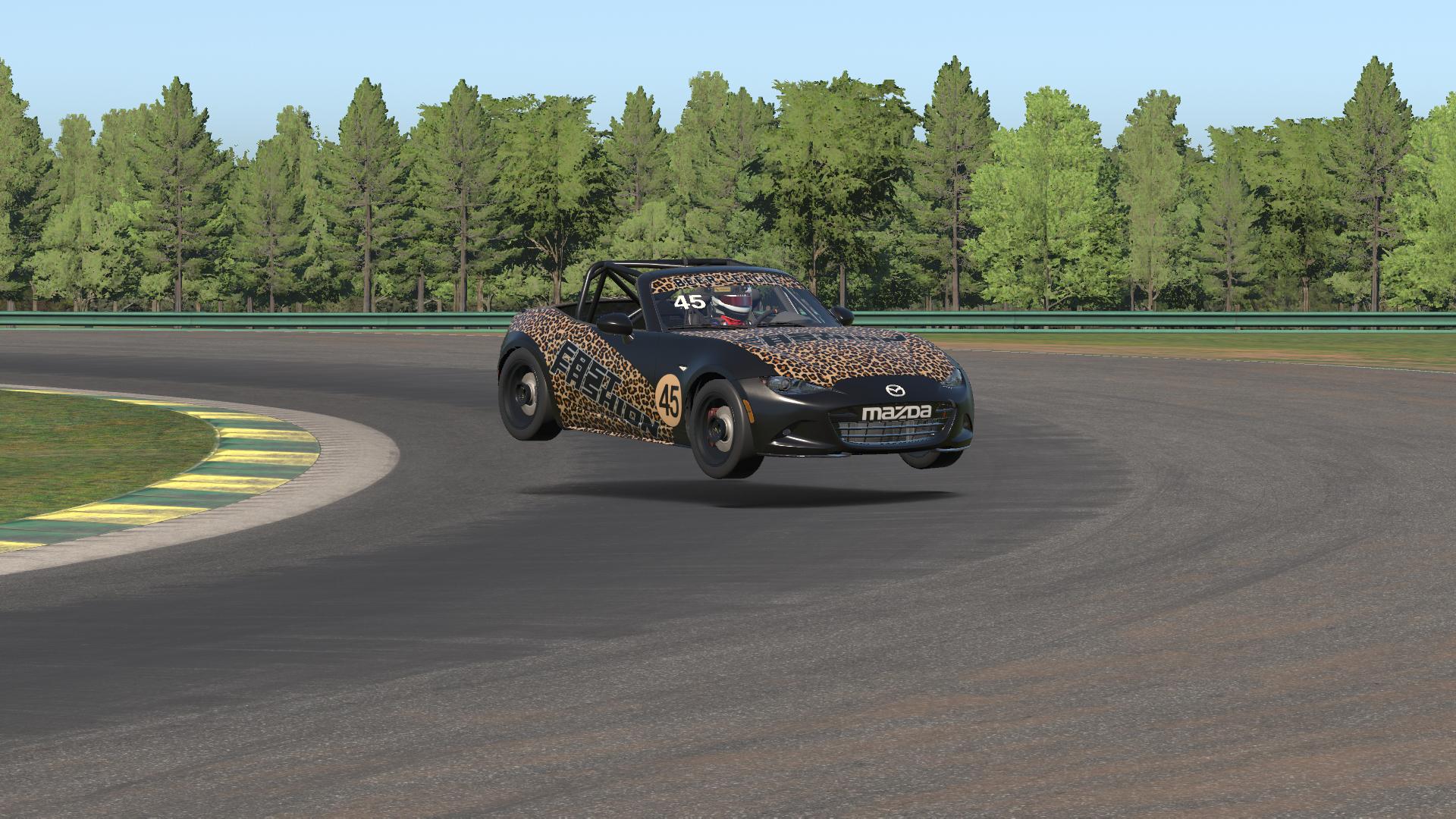 Preview of Fast Fashion - Leopard  by Tyler Carlton