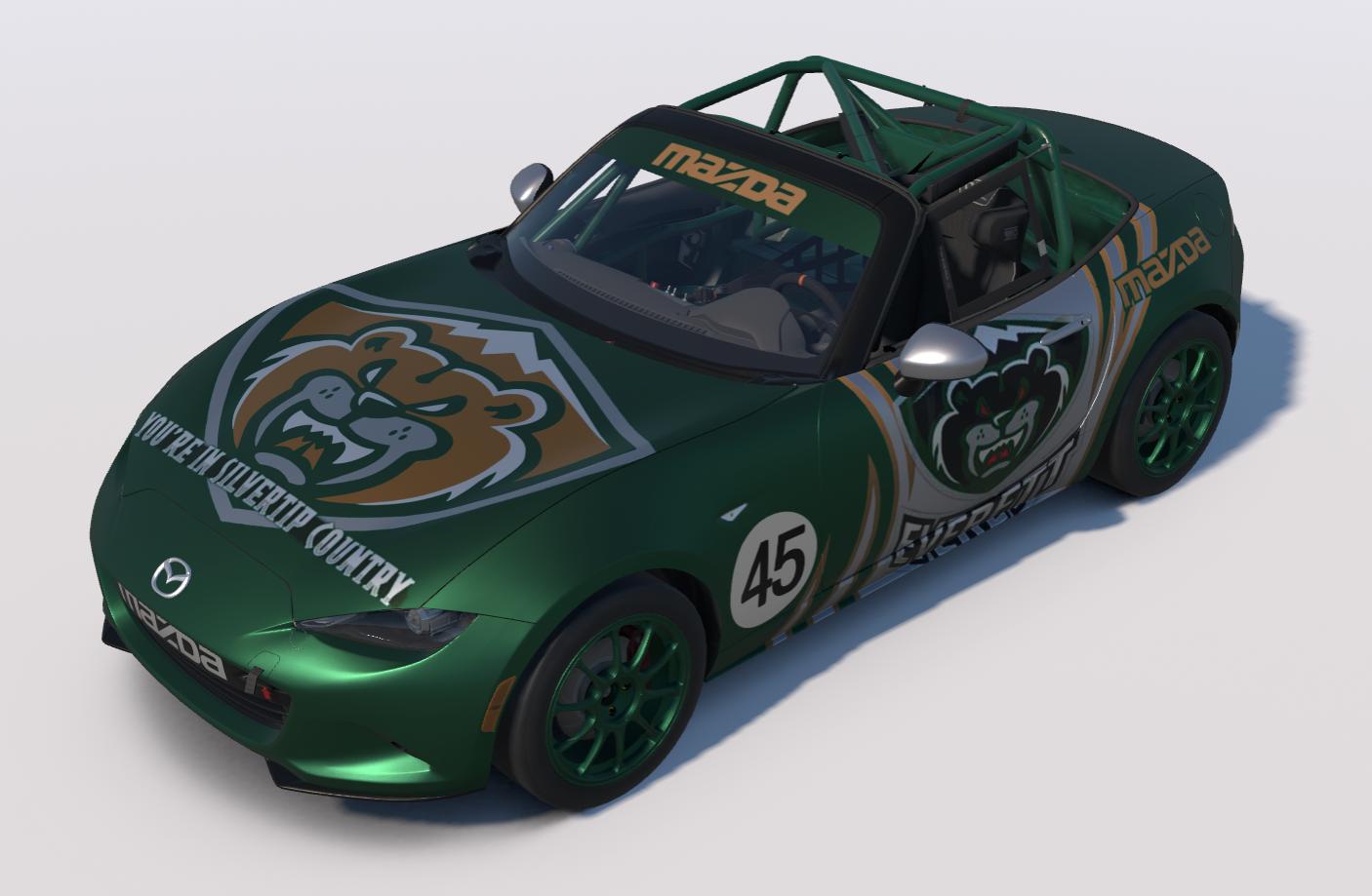 Preview of Silvertips by Randy L.