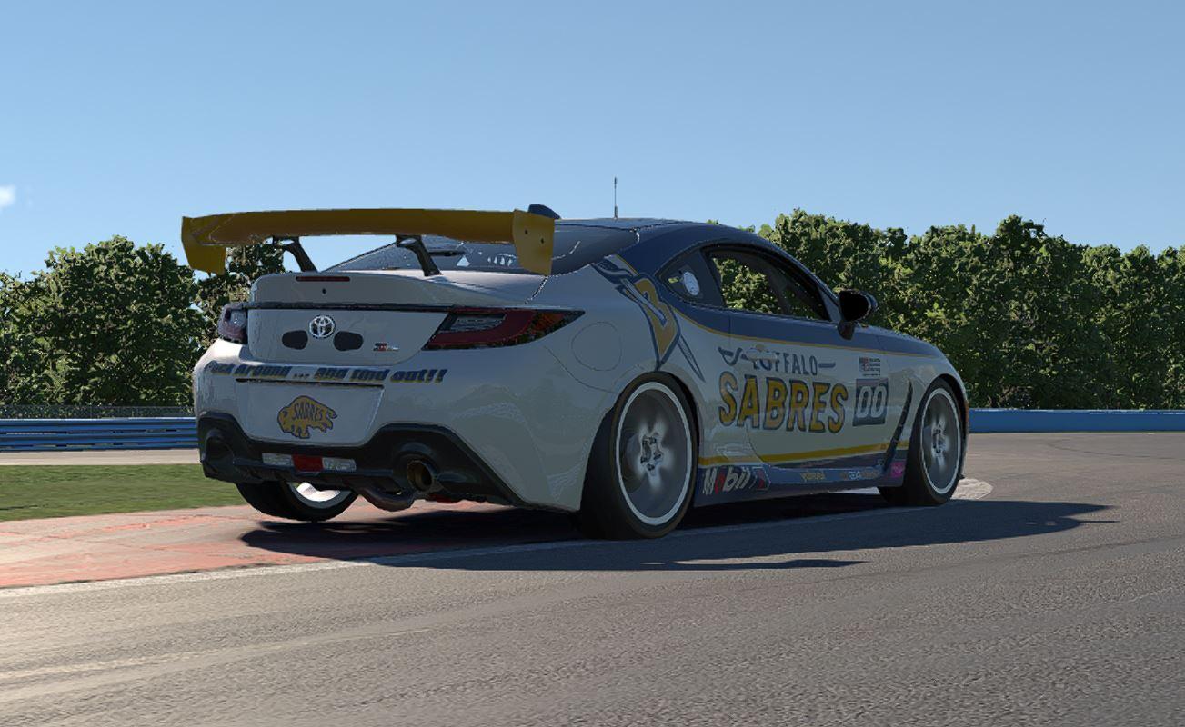 Preview of Buffalo Sabres by Bill Shurmatz