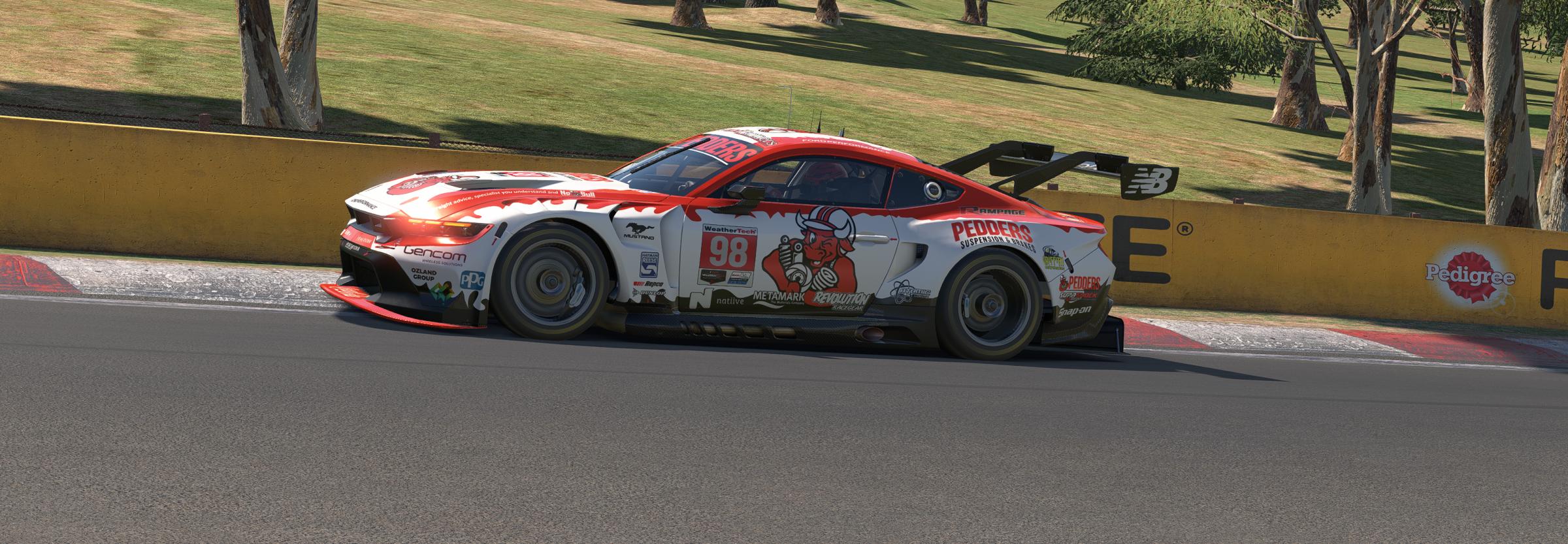 Preview of Pedders No Bull Ford Mustang GT3 by Warren M.