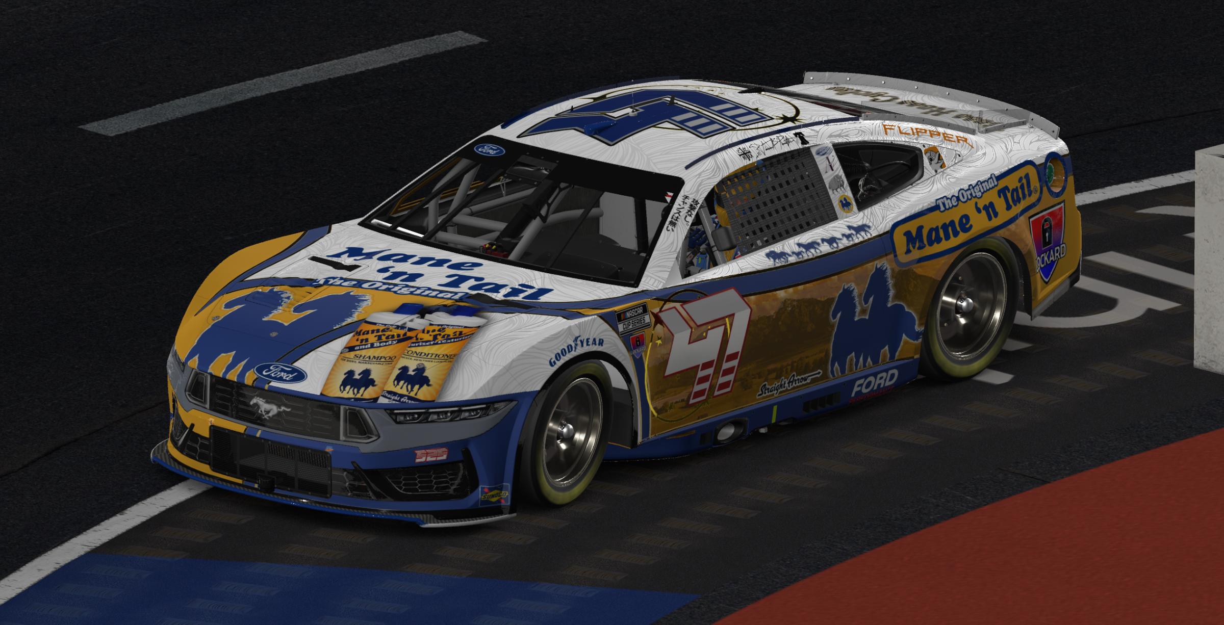 Preview of 2026 - Mane n Tail Personal Paint by Vincent Crow