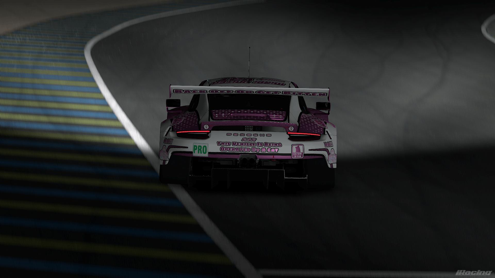 Preview of Asa The Nyanpire Porsche 911 RSR by Asa Nyanpire