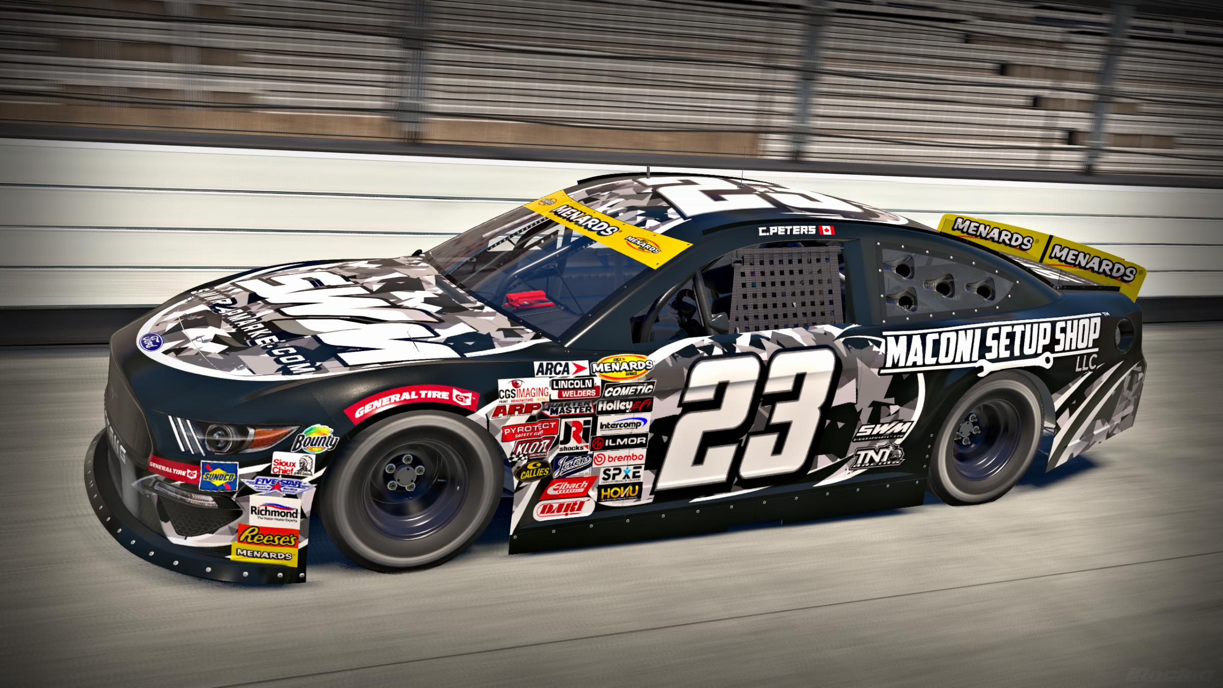 Preview of ARCAMustang032BWGPattern by Chris Peters3