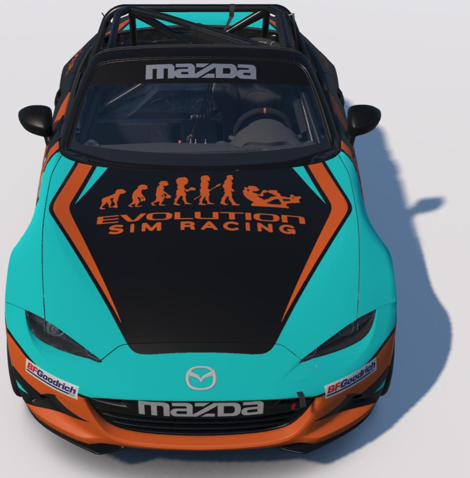 Preview of EvoMonkey Neon Lights by Stephen Evason