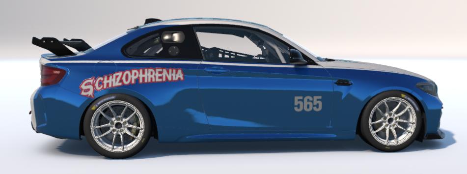 Preview of Schizophrenia by John Harned