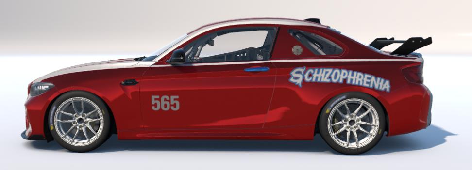 Preview of Schizophrenia by John Harned