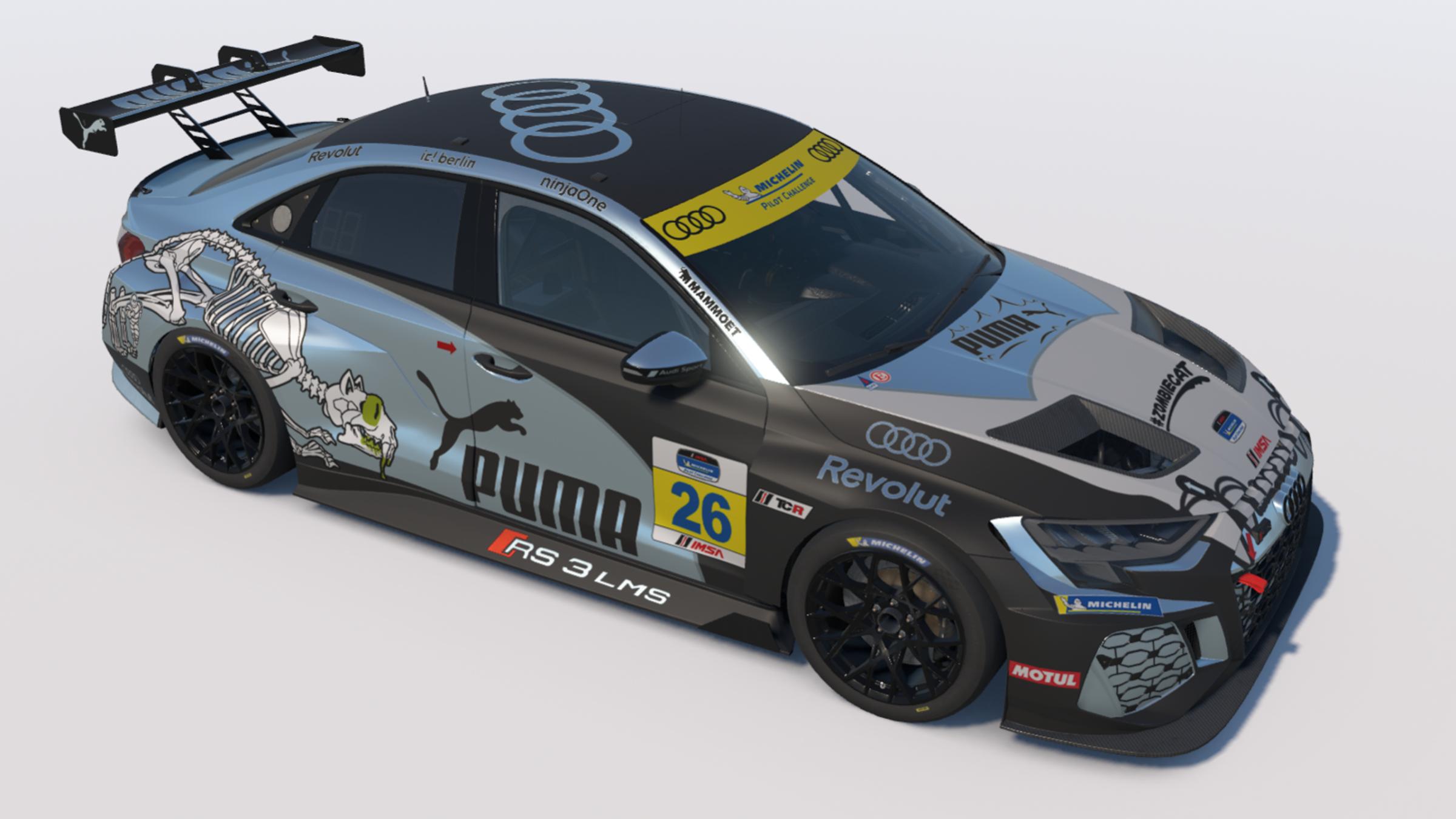 Preview of Puma Audi TCR by Paul Metcalfe