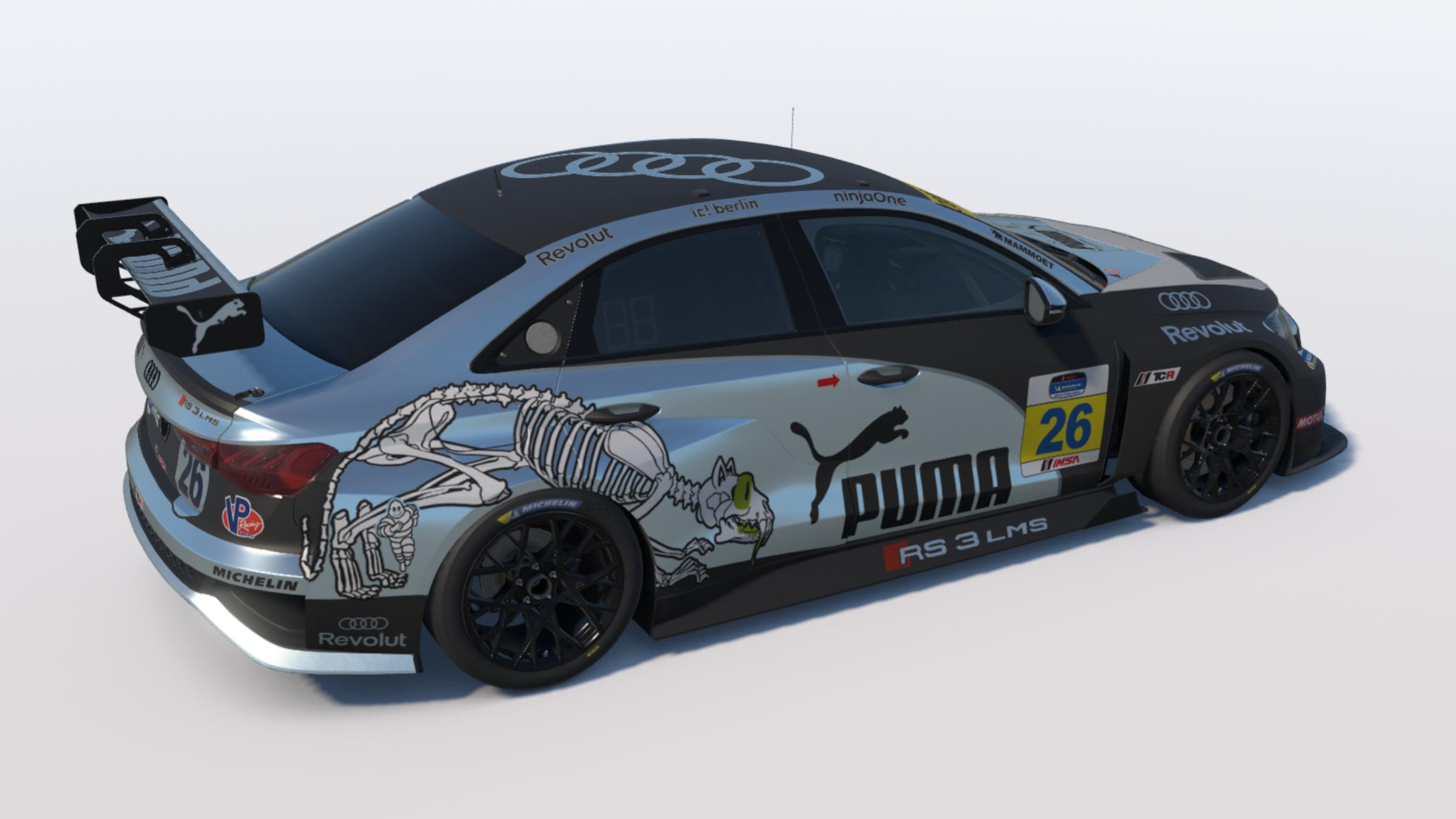 Preview of Puma Audi TCR by Paul Metcalfe
