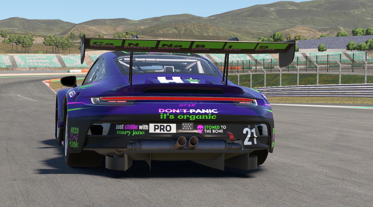 Preview of 420 Racing by Christopher R.