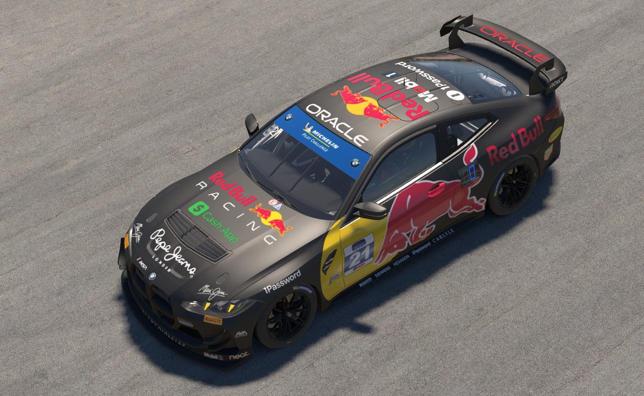 Preview of Black Red Bull by Christopher R.