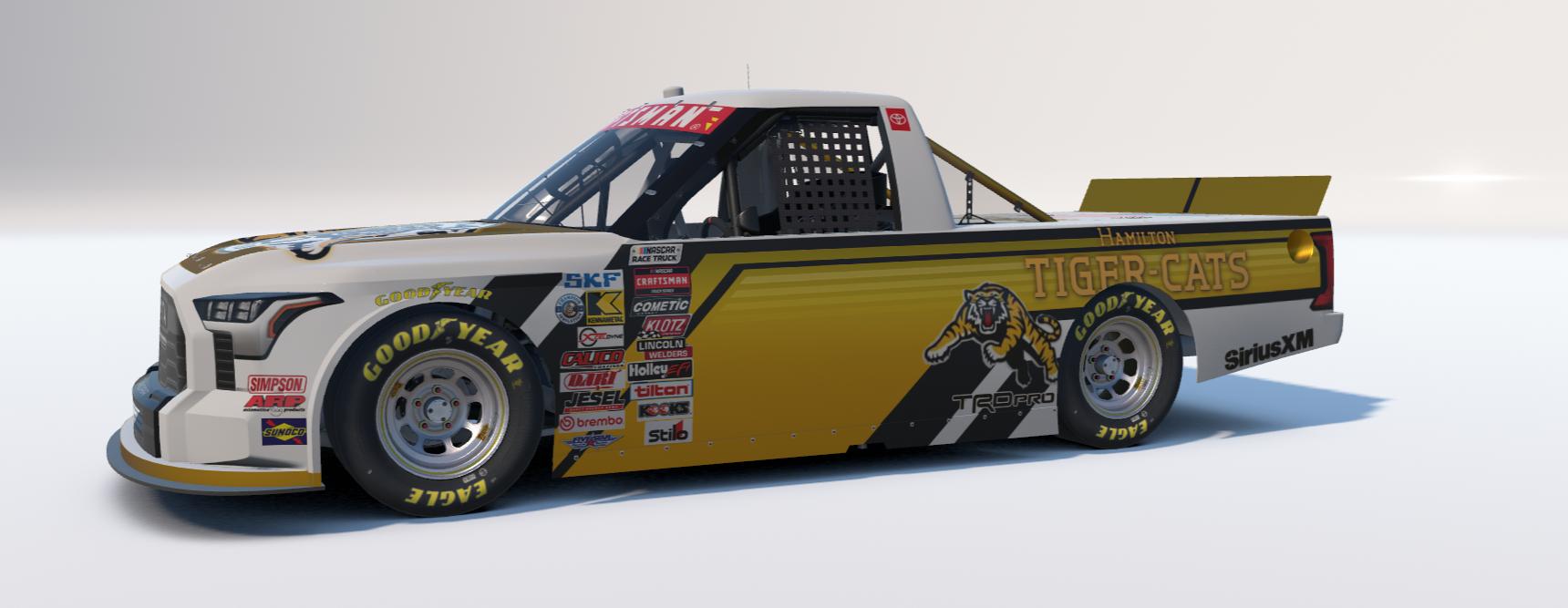 Preview of tiger cats football version 2 by Dave S.