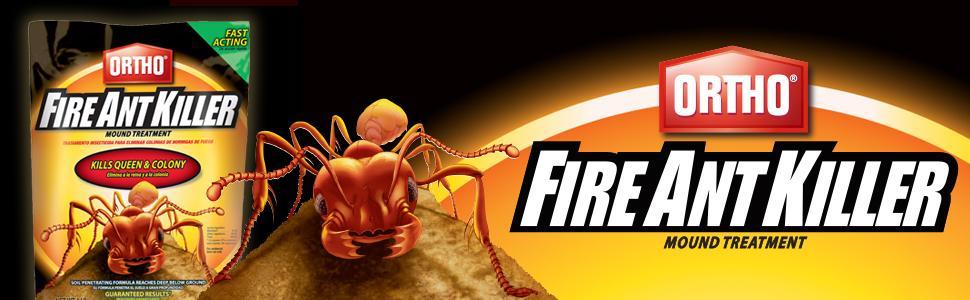 Preview of Crazys Car Mr D King  by Gary Nash3