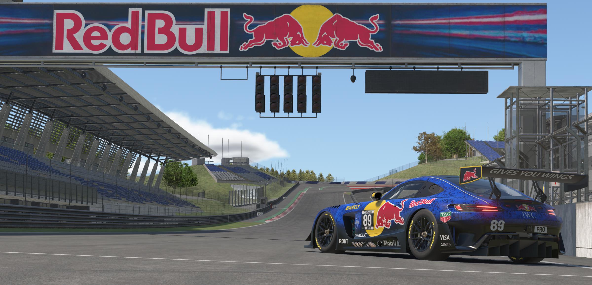 Preview of Red Bull by Christopher N S.