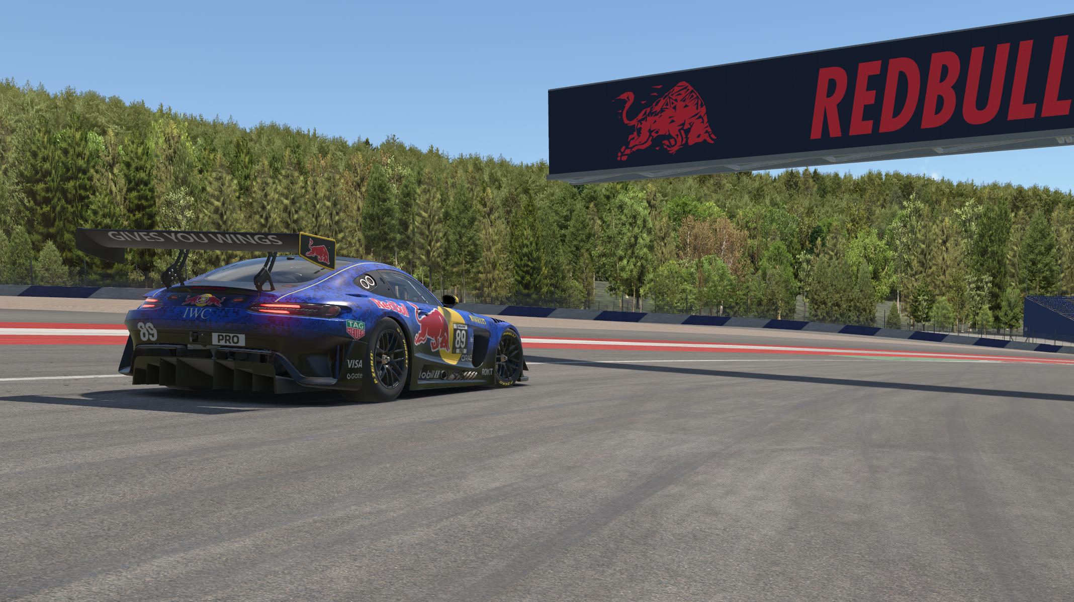 Preview of Red Bull by Christopher N S.