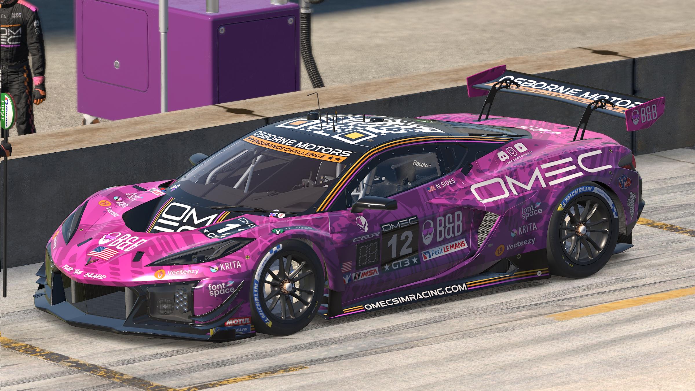 Preview of B&B Racing Chevrolet Corvette GT3 "Hazard" v1.0 by Patrick Cantrell