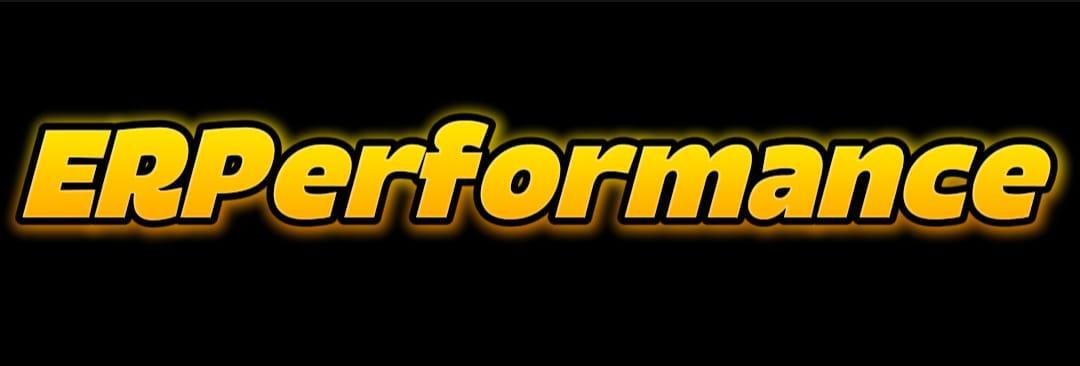Erperformance ERPerformance by Fernando De Jesus Aguilar Morales - Trading Paints